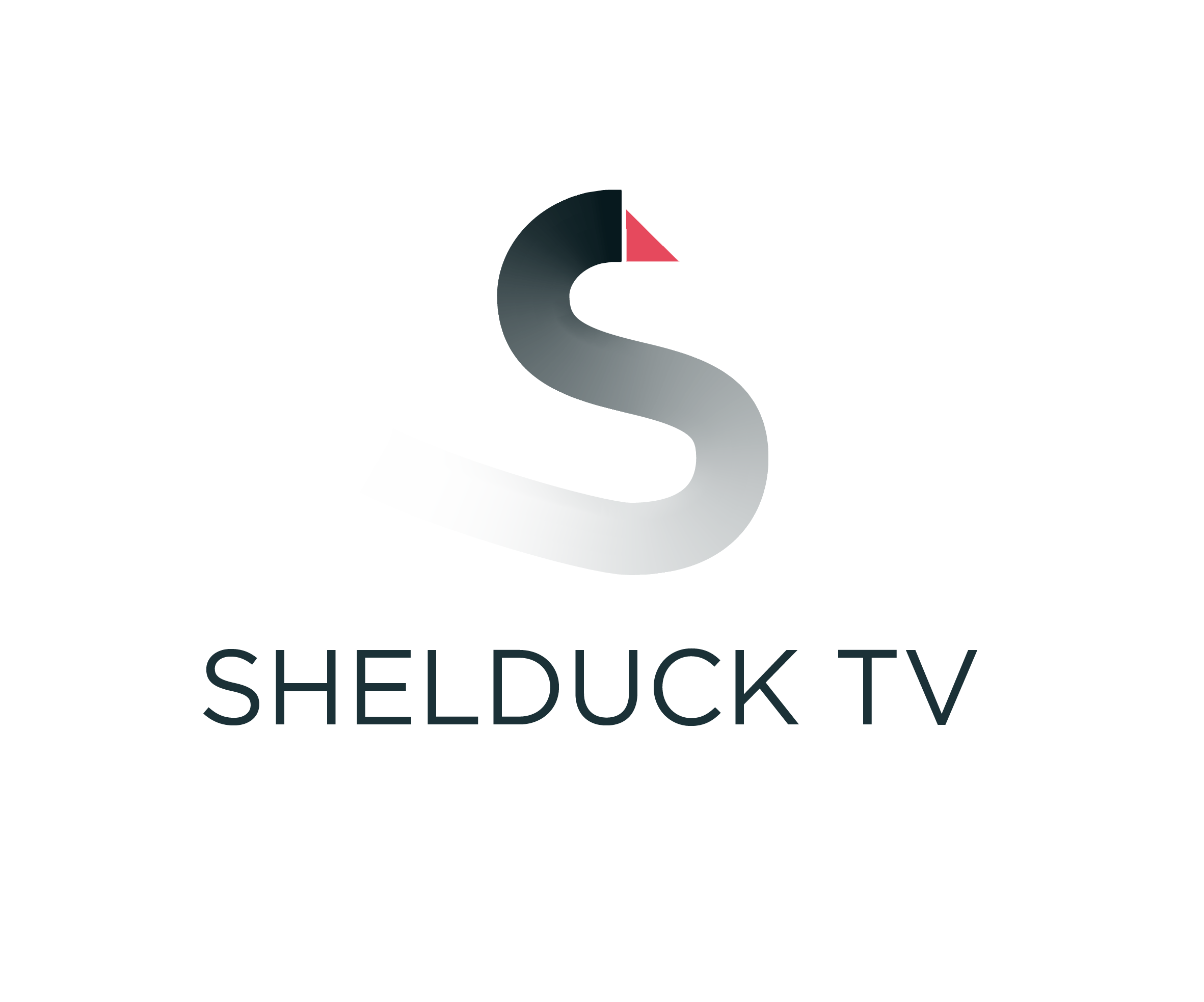 Shelduck TV